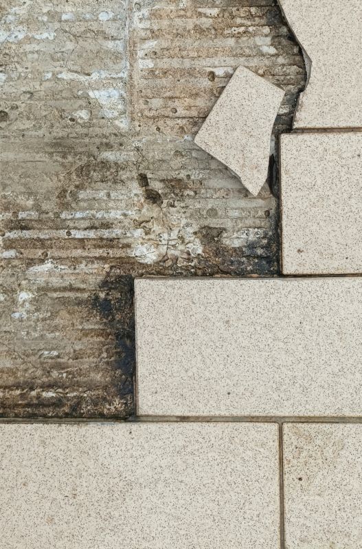 Damaged Tile Repair detail